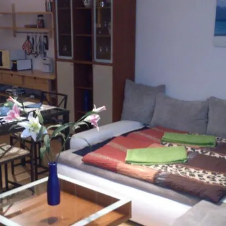 Apartment Mojmirova *